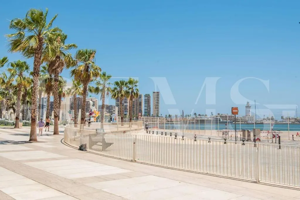 Modern Apartment Next To The Cervantes Theatre By Rems Malaga